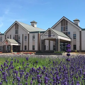 Spa&hotel ふらのラテール 3* 中富良野町